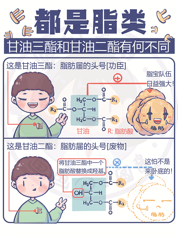 都是脂類甘油三酯和甘油二酯有何不同？
